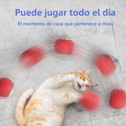 Juguete para mascotas