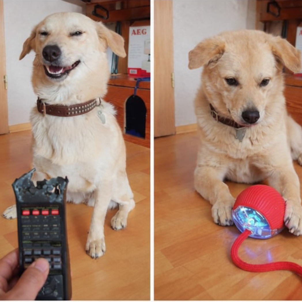 Juguete para mascotas