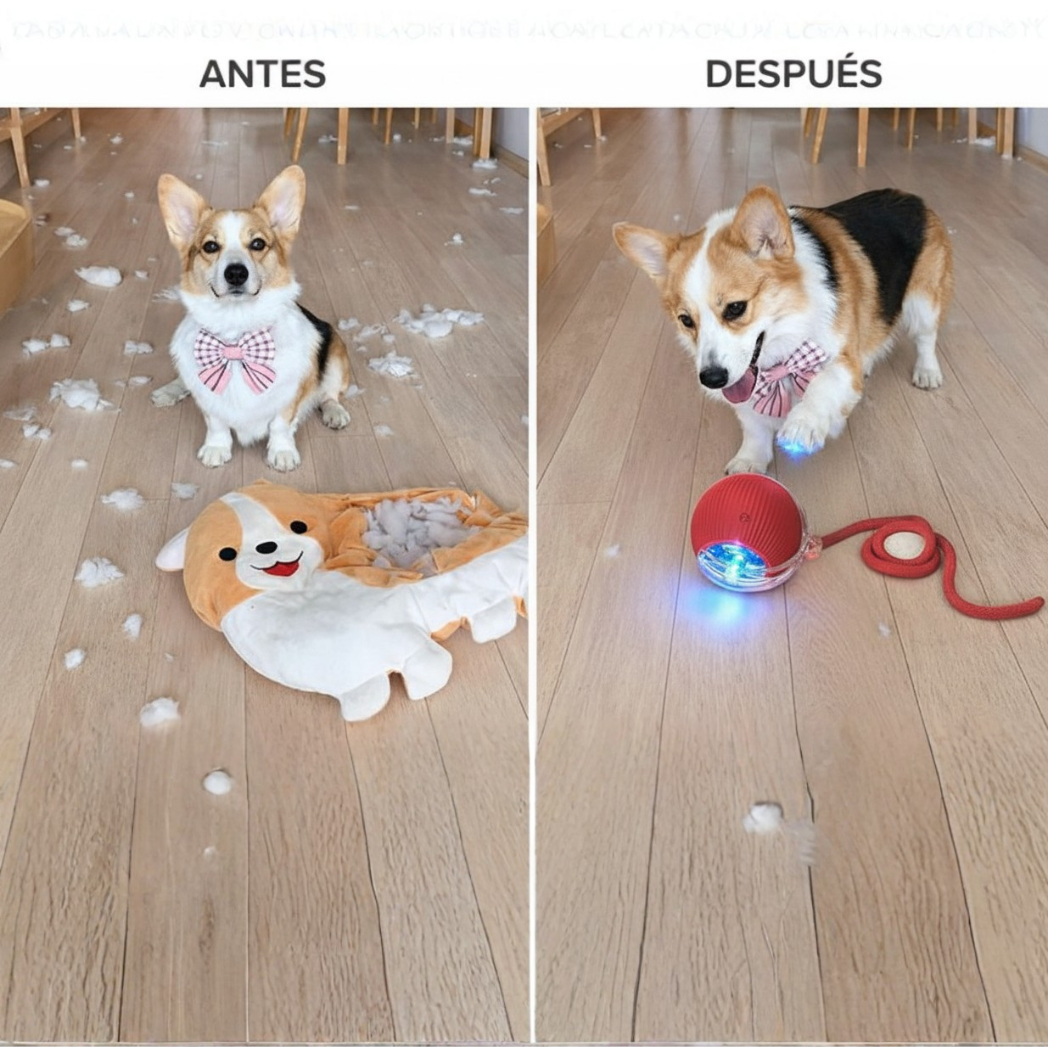 Juguete para mascotas