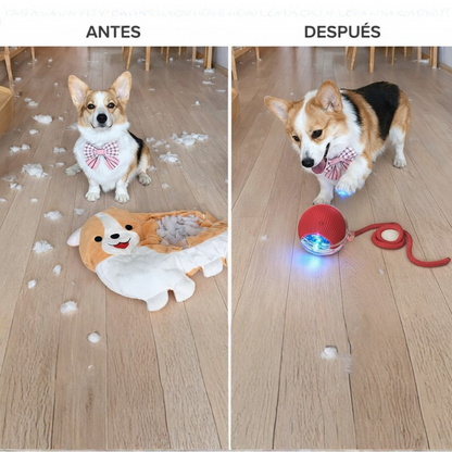 Juguete para mascotas